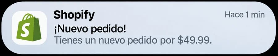 Aviso de ejemplo de un nuevo pedido